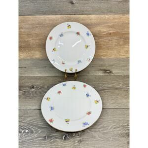 CROWN STAFFORDSHIRE Floral Bouquet 8 1/4" Salad Plate Set of 2